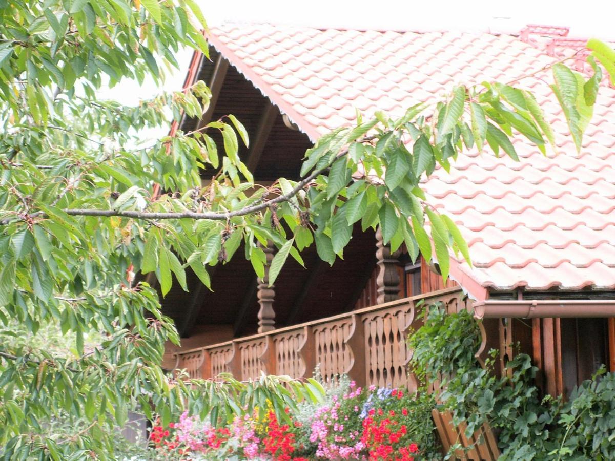 Ferienwohnungen Irene Konstandin Bischofsmais Ngoại thất bức ảnh